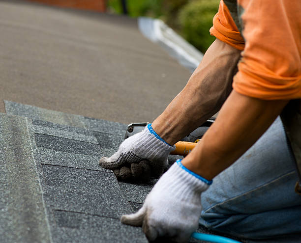 Professional Roofing Contractor in Rogersville, MO